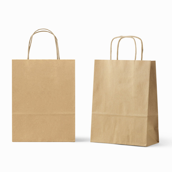 Paper Lunch Bags With Handles Takeout Food Bags Gift Bags Free Samples